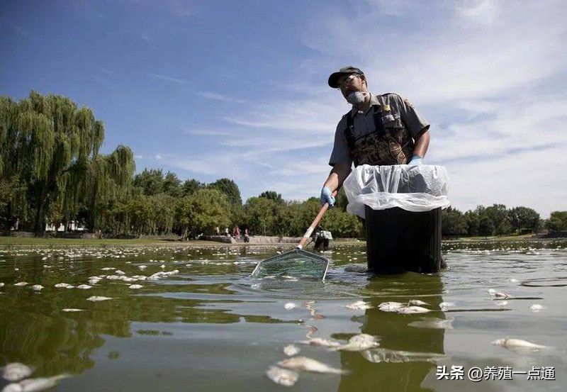 鱼塘中毒症状及处理方法_鱼塘常见中毒类型及应对措施_有机磷中毒健康教育