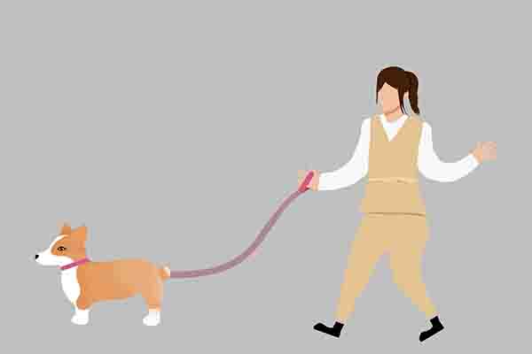 被狗咬了没出血要不要打针_让狗咬了出血了怎么办_狂犬病预防接种