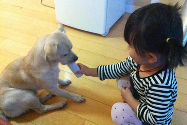 让狗咬了出血了怎么办_被狗咬了没出血要不要打针_狂犬病预防接种