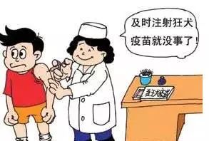狗咬伤伤口处理方法_让狗咬了出血了怎么办_被狗咬伤症状
