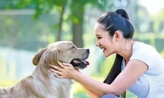 被狗咬伤症状_让狗咬了出血了怎么办_狗咬伤伤口处理方法
