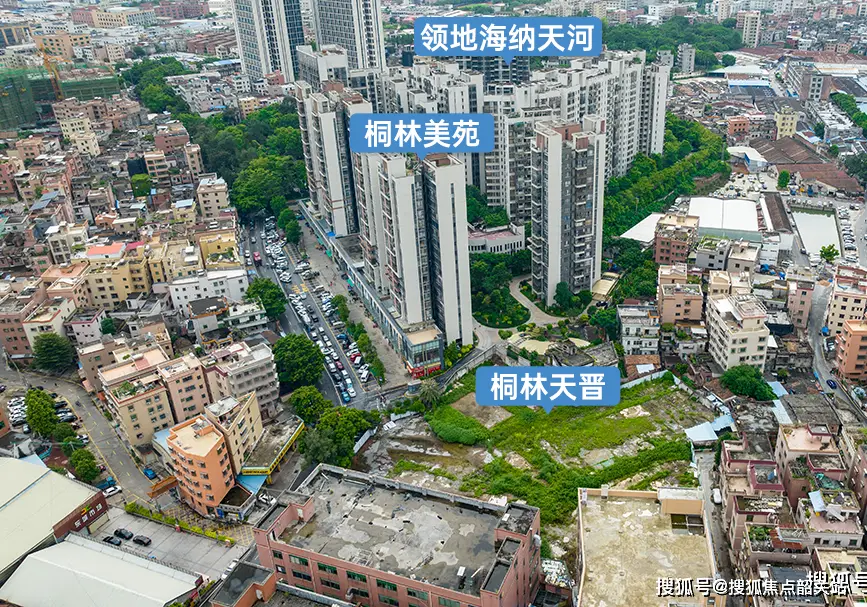 天晋楼盘信息_桐林天晋户型图_佛山南海区桐林天晋