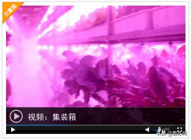 集装箱式智慧互联网植物工厂_集装箱建筑案例_苏州园区智慧农业