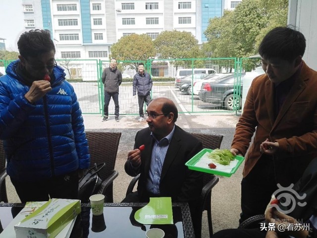 集装箱式智慧互联网植物工厂_集装箱建筑案例_苏州园区智慧农业