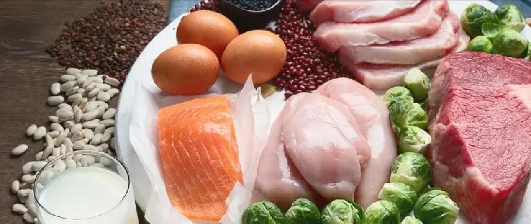 早餐蛋白质来源单一_儿童喝什么牛奶好_多种蛋白质搭配食用