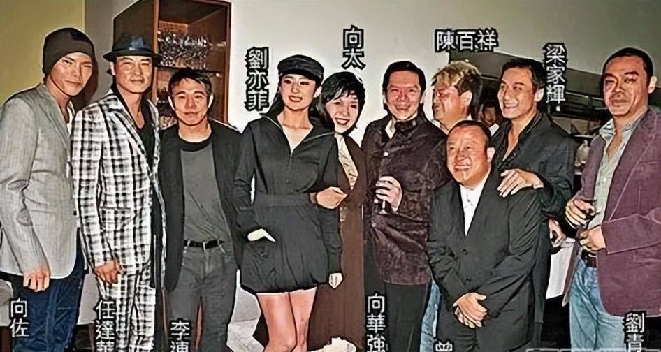 1993梅艳芳生日宴会成龙向华强冲突_成龙向华强矛盾详细情况_梅艳芳葬礼向华强