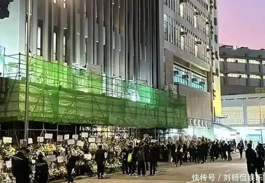 向华炎黑白两道送行人数_梅艳芳葬礼向华强_香港向华炎葬礼规模