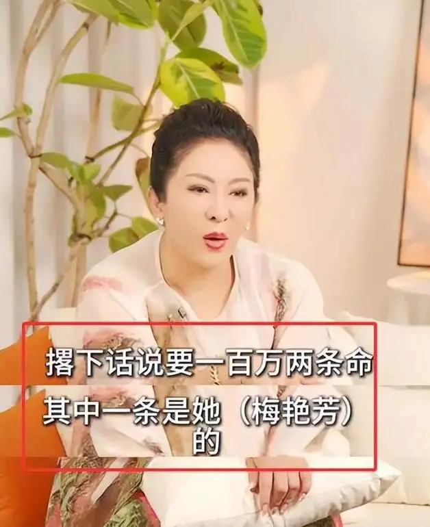梅艳芳葬礼向华强_王晶揭秘香港娱乐圈江湖冲突_梅艳芳任性往事