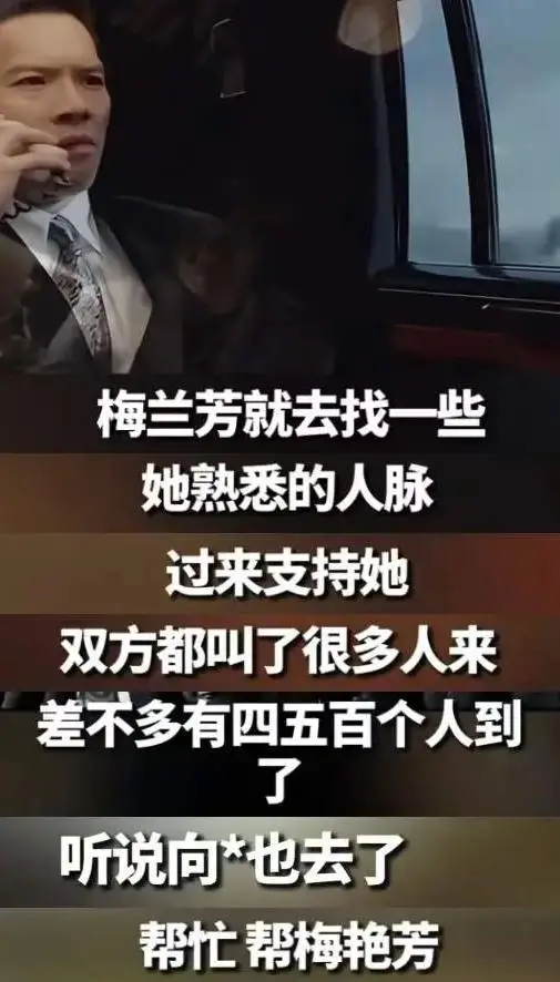 王晶揭秘香港娱乐圈江湖冲突_梅艳芳任性往事_梅艳芳葬礼向华强