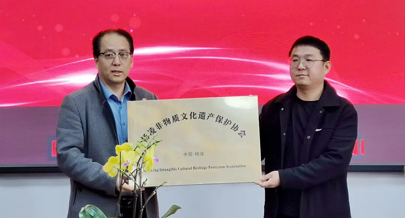 非物质文化遗产保护的利与弊_杨凌非物质文化遗产保护协会_杨凌非遗保护工作