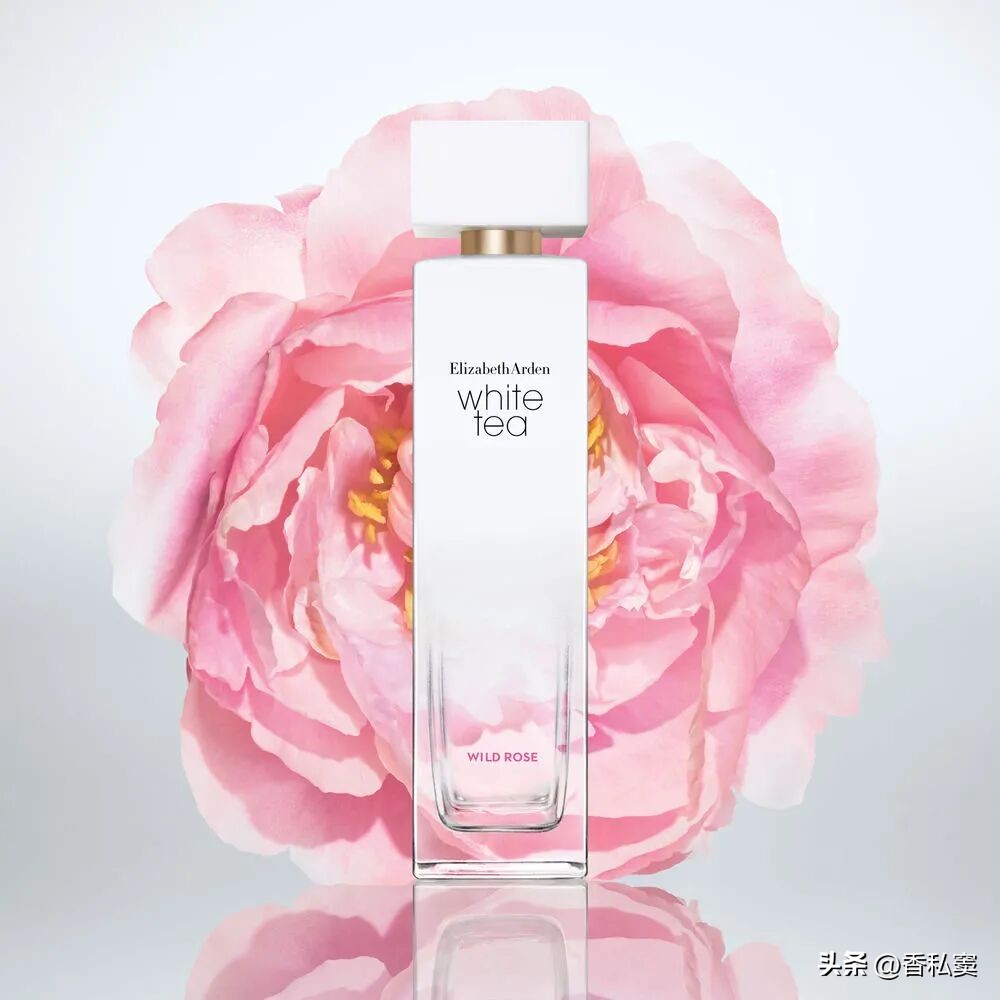 不同风格玫瑰香水_玫瑰香水推荐_chloe家香水哪款最好闻