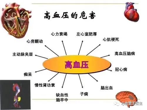 中国高血压患病人数2.7亿_高血压患病率25.2%_正常人吃降压药会怎样