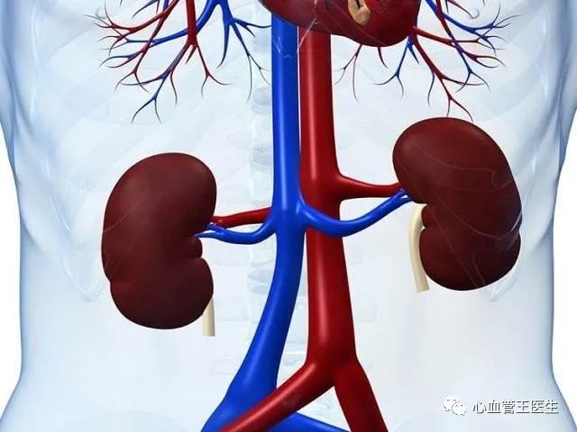 中国高血压患病人数2.7亿_高血压患病率25.2%_正常人吃降压药会怎样