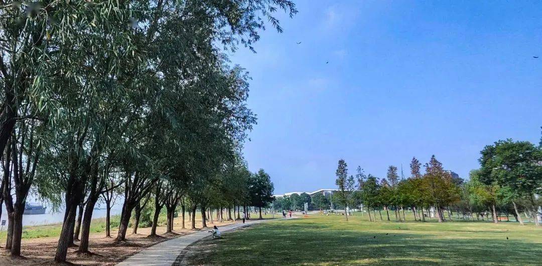 南京桥北滨江生态公园_南京长江大桥 公路特色 沿途美景