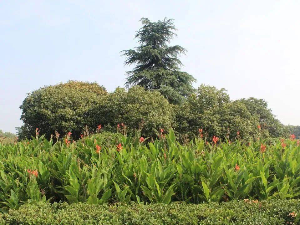 南京桥北滨江生态公园_南京长江大桥 公路特色 沿途美景