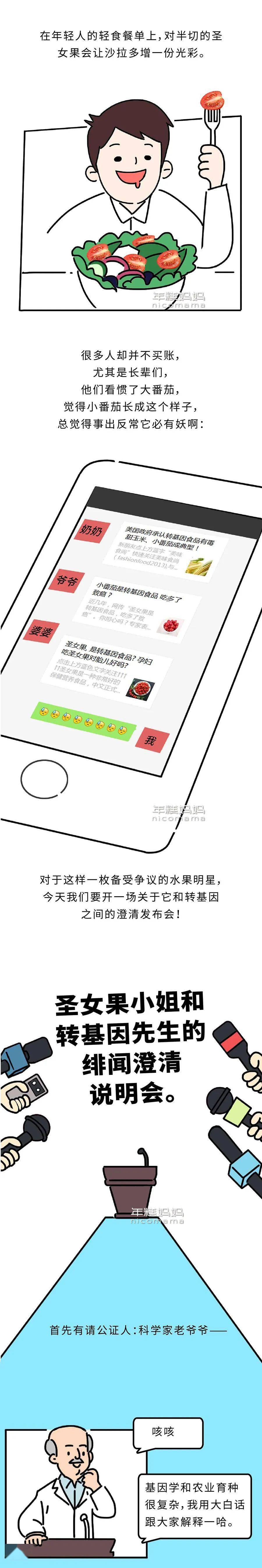 小番茄是转基因的吗_大番茄与圣女果关系_圣女果转基因辟谣