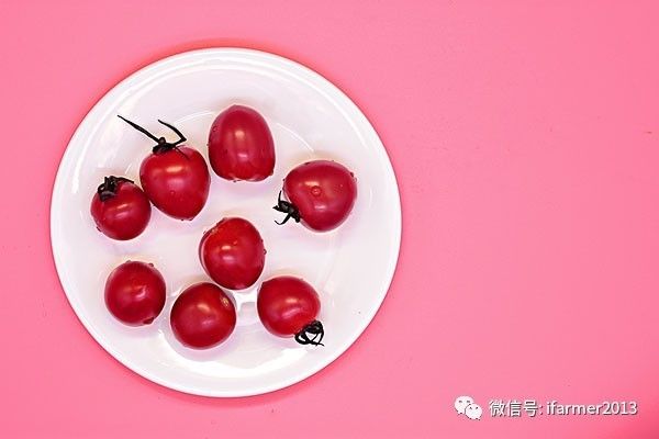 小番茄圣女果营养价值_小番茄是转基因的吗_小番茄番茄红素功效