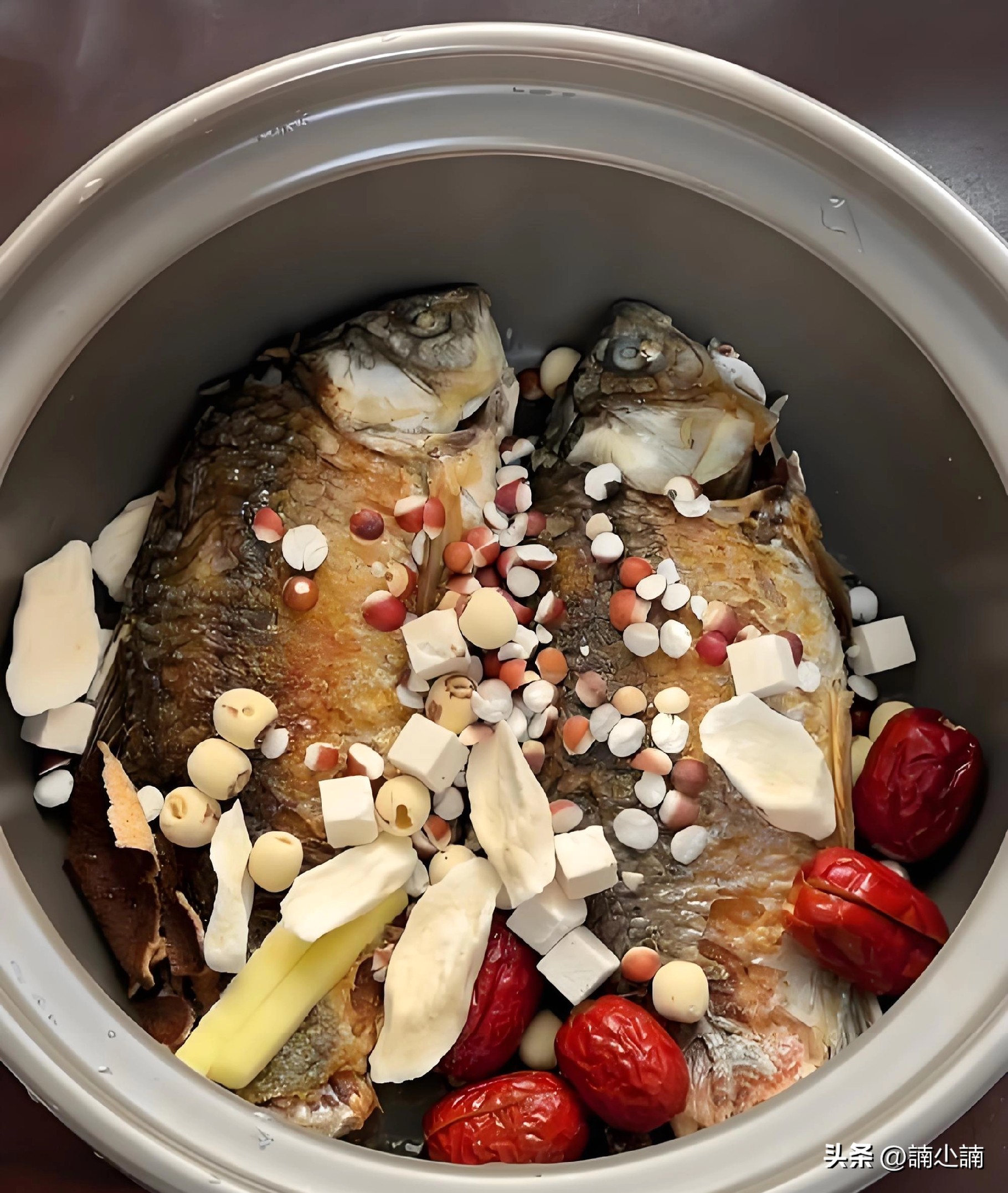 最佳湖鲜推荐地点_福建大金湖巨型鳡鱼_中国淡水湖鲜排名