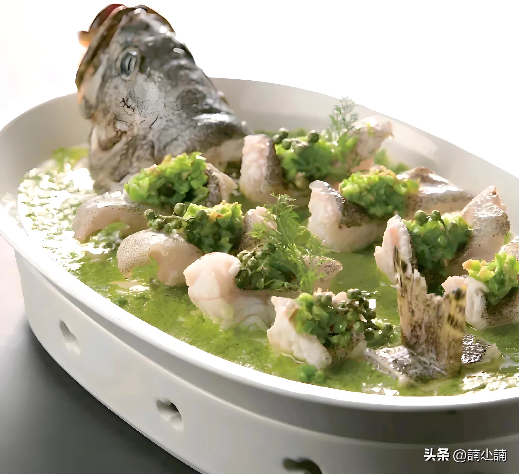 福建大金湖巨型鳡鱼_中国淡水湖鲜排名_最佳湖鲜推荐地点