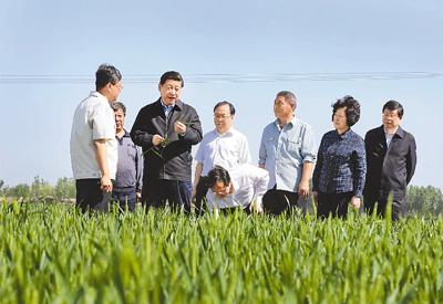 习近平考察天津生态城绿色发展_习近平考察天津现代都市型农业_天津生态城最新新闻
