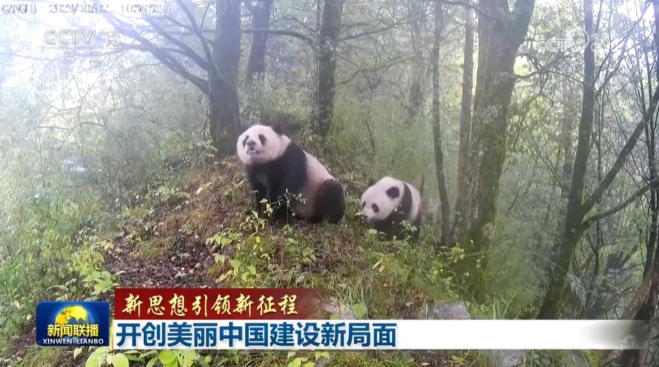 美丽中国建设_生态文明建设_生态文明美丽中国的理论与实践