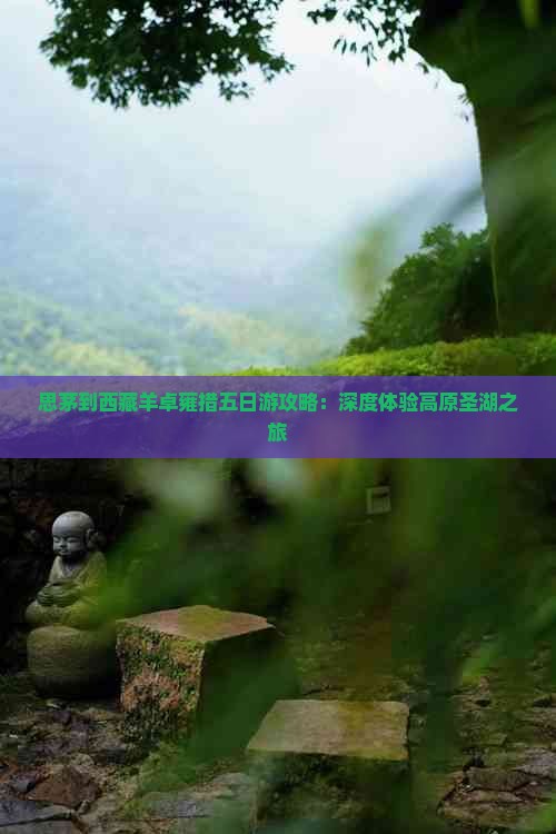 思茅到西藏羊卓雍措五日游