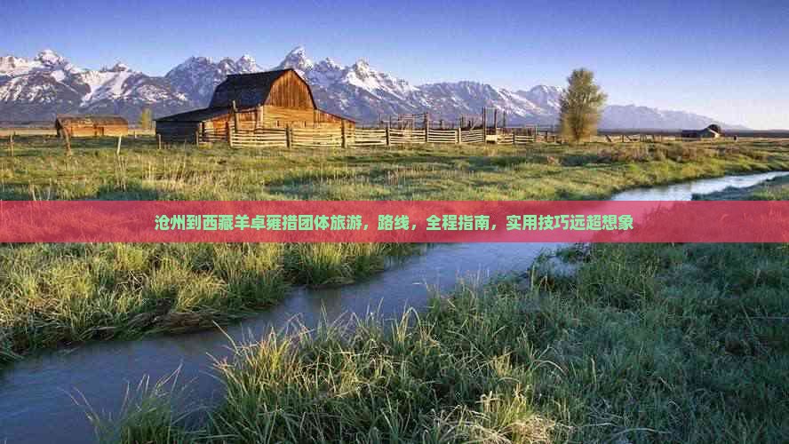 沧州到西藏羊卓雍措团体旅游