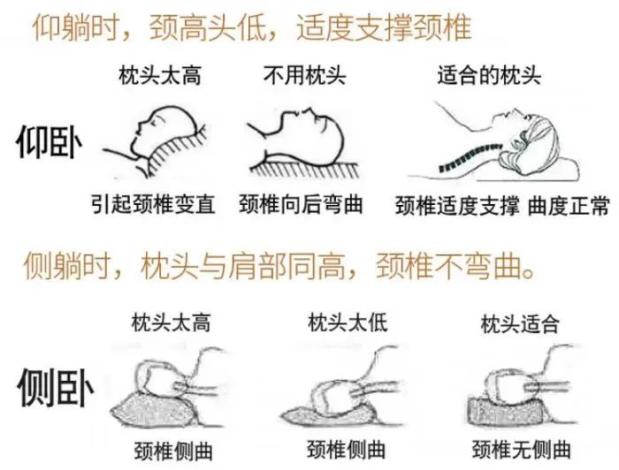 枕头高度与颈椎健康_颈椎病枕头选择_颈椎病适合什么枕头