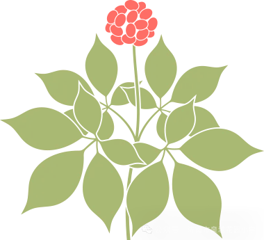 语文教学质量分析会_济南市花园小学_济南市泉城花园小学教学质量分析会