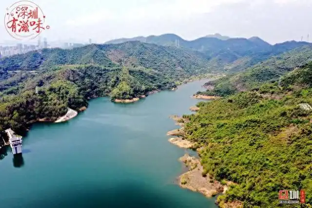 深圳哪些景点不要门票_深圳地铁游_地铁直达深圳公园绿道