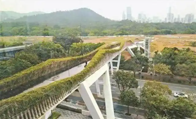 地铁直达深圳公园绿道_深圳地铁游_深圳哪些景点不要门票