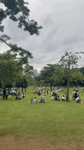 深圳地铁游_地铁直达深圳公园绿道_深圳哪些景点不要门票