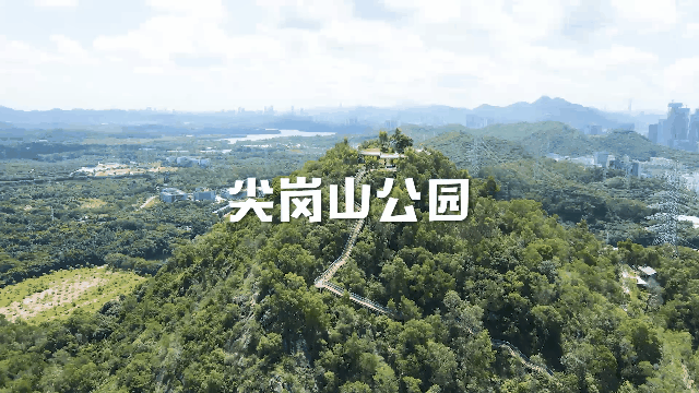 深圳哪些景点不要门票_地铁直达深圳公园绿道_深圳地铁游