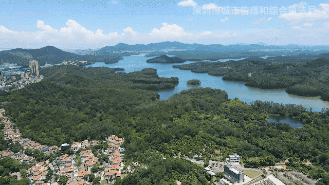 深圳哪些景点不要门票_深圳地铁游_地铁直达深圳公园绿道