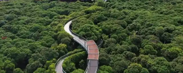 地铁直达深圳公园绿道_深圳地铁游_深圳哪些景点不要门票