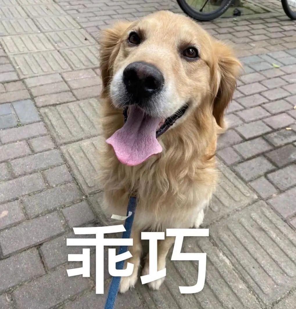 深圳秋冬观鸟地点_深圳哪些景点不要门票_深圳秋天赏花好去处