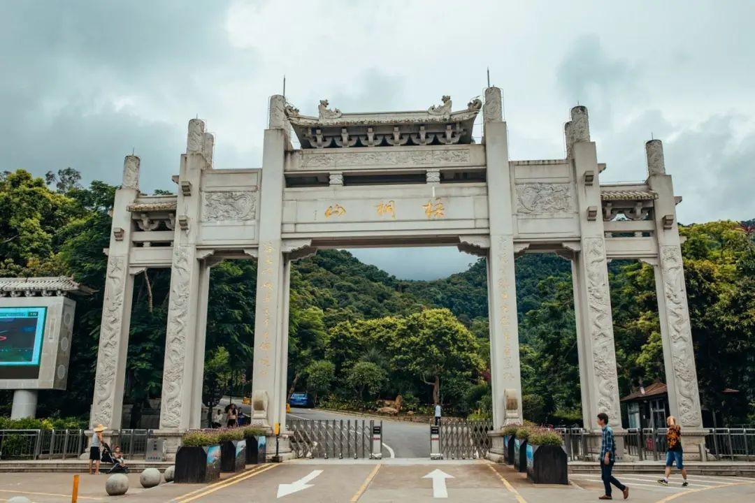 深圳哪些景点不要门票_深圳秋天赏花好去处_深圳秋冬观鸟地点