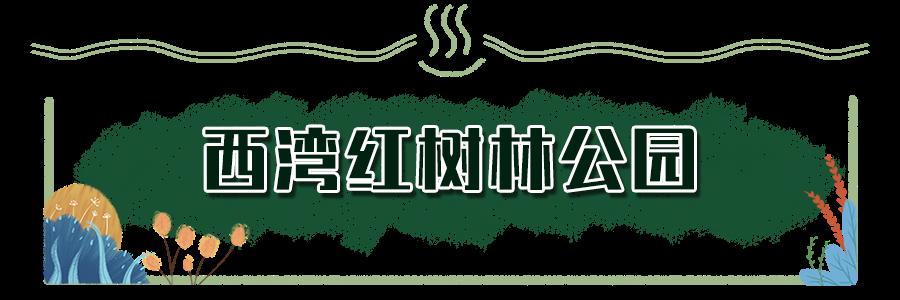 深圳哪些景点不要门票_深圳秋天赏花好去处_深圳秋冬观鸟地点