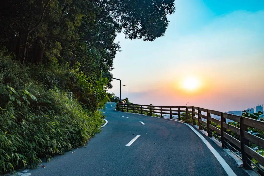 深圳秋冬观鸟地点_深圳秋天赏花好去处_深圳哪些景点不要门票