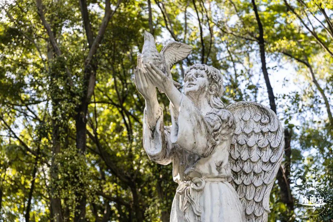 深圳秋天赏花好去处_深圳秋冬观鸟地点_深圳哪些景点不要门票