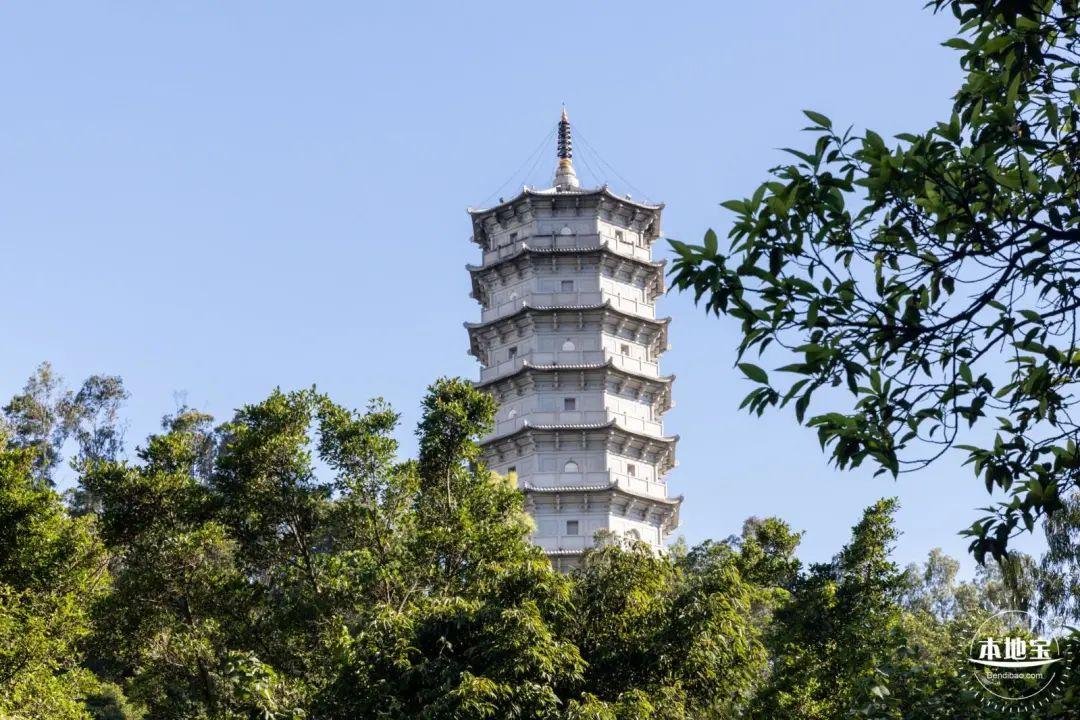 深圳秋天赏花好去处_深圳秋冬观鸟地点_深圳哪些景点不要门票