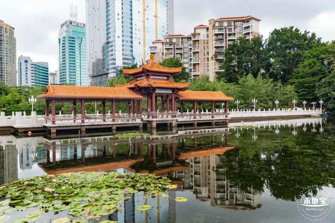 深圳秋天赏花好去处_深圳哪些景点不要门票_深圳秋冬观鸟地点