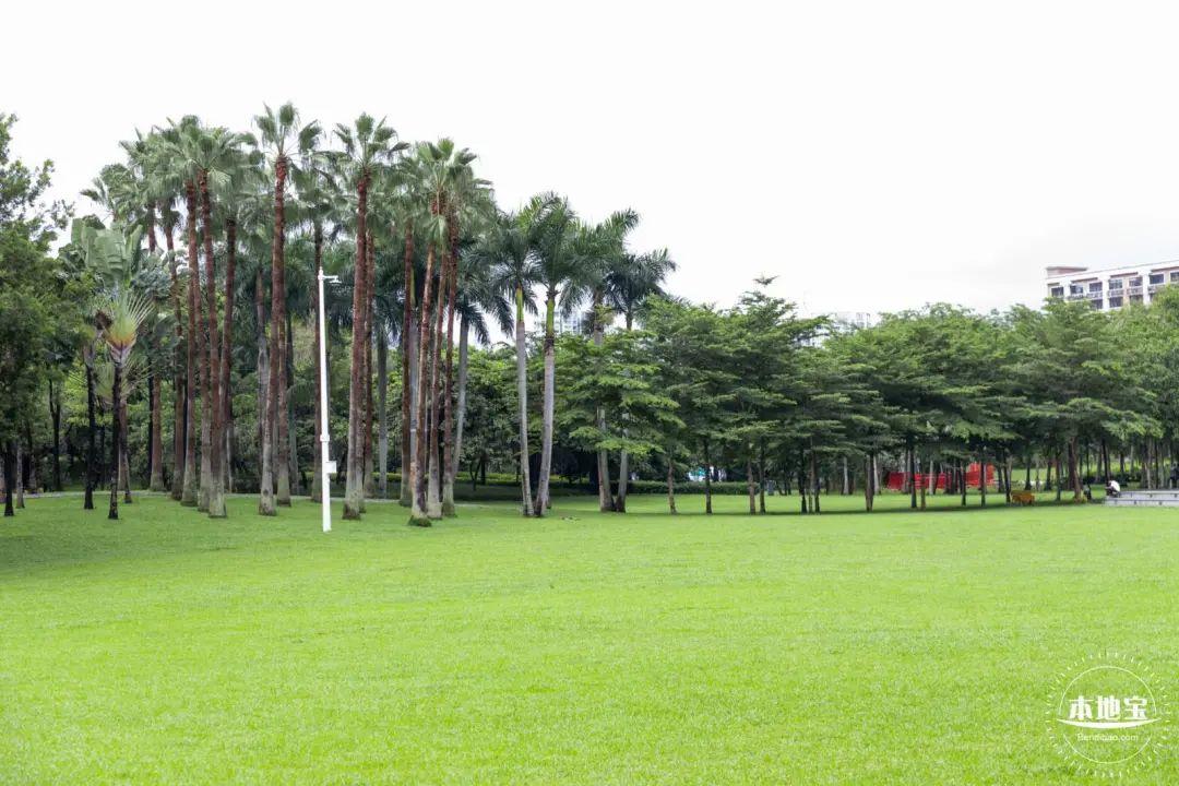 深圳秋冬观鸟地点_深圳哪些景点不要门票_深圳秋天赏花好去处