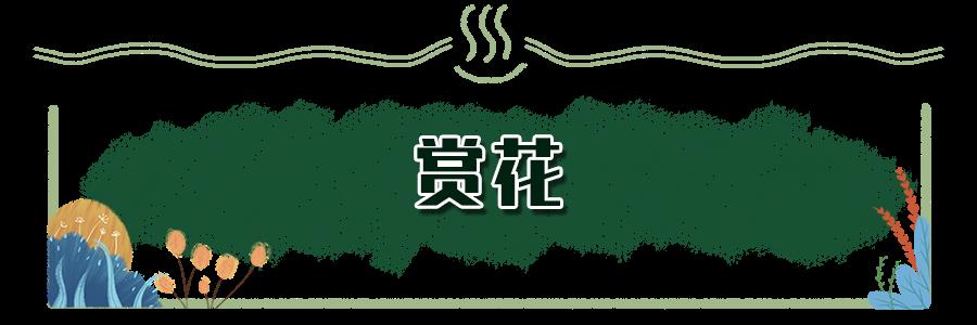 深圳哪些景点不要门票_深圳秋冬观鸟地点_深圳秋天赏花好去处