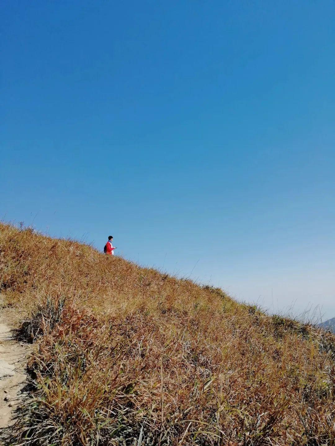 深圳秋冬观鸟地点_深圳秋天赏花好去处_深圳哪些景点不要门票