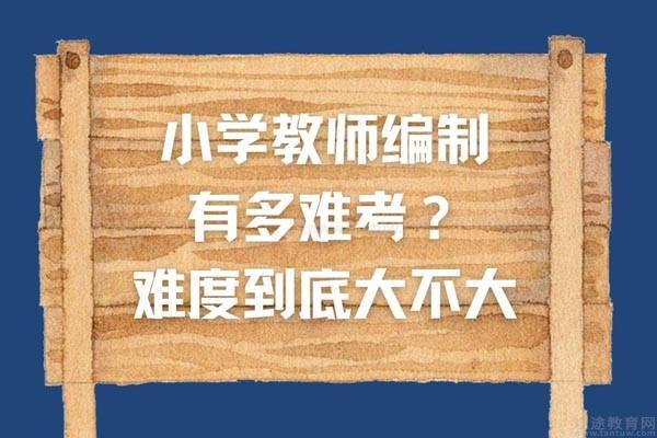 小学教师编制有多难考