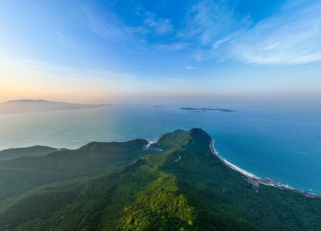 山海交咱双圈文化意蕴_海上森林生态价值_森林生态系统有什么之称