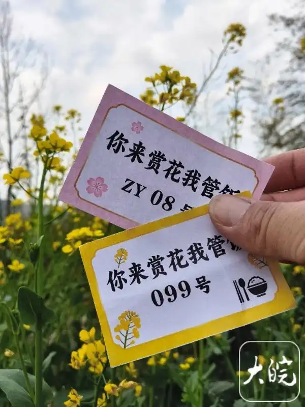 安徽宁国农家乐3天2晚_安徽宁国市霞西镇虹龙村油菜花田 你赏花我管饭 活动直播助乡村振兴