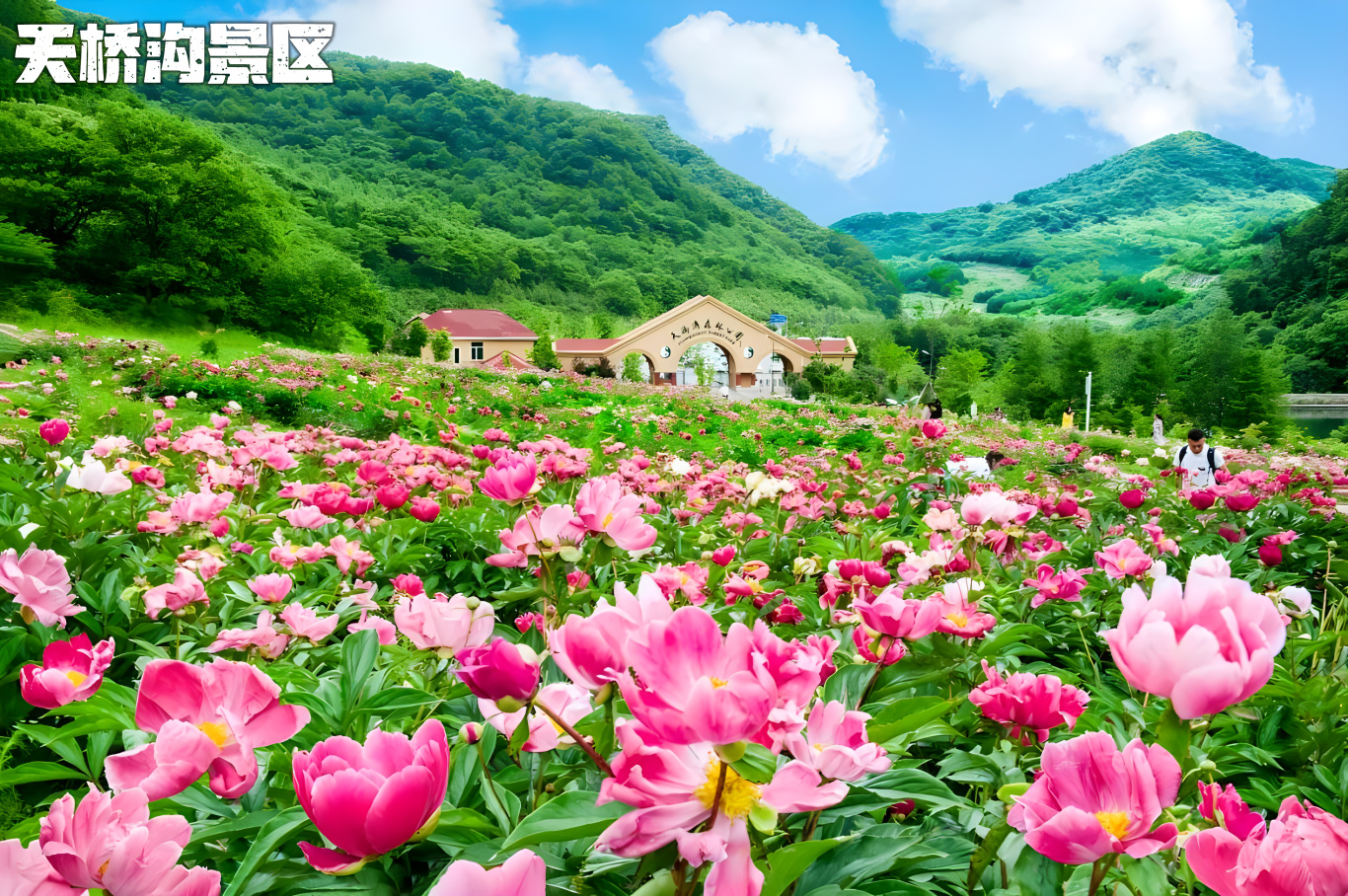 丹东凤凰山上山路线_丹东春游攻略 赏花观鸟 登山踏青