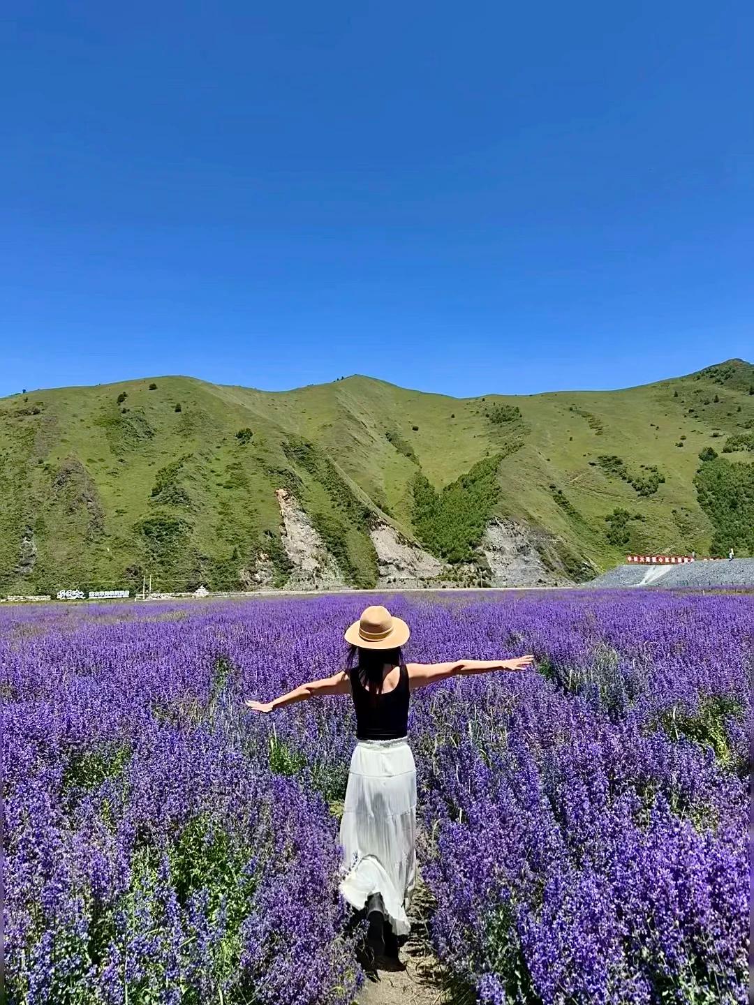 成都中国旅行社 股份有限公司_四川旅行社测评_纯玩无购物旅行社推荐